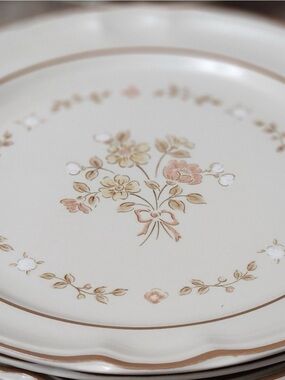 CORDELLA Burnet collection stoneware hand decorated Japan dinner plates (large)